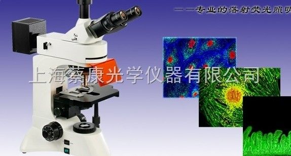 XTL-6600C蔡康平行光体视显微镜图片