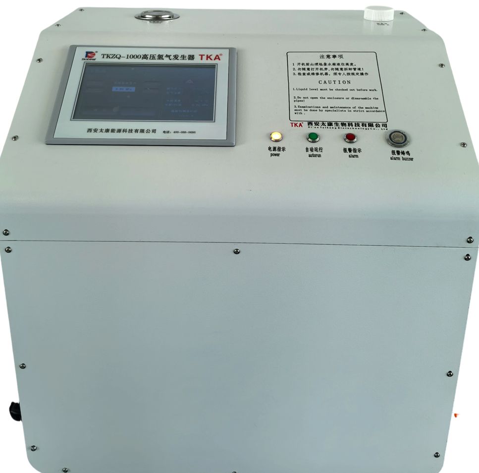 TKZQ-1000氢气发生器图片