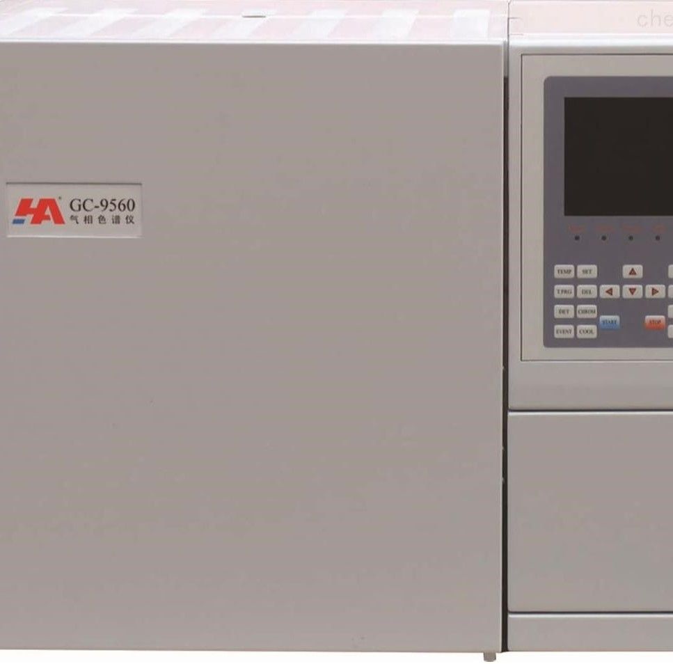 GC-9560-PED等离子发射气相色谱系统图片
