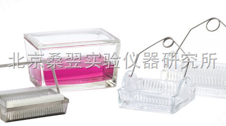 900303 WHEATON 900303染色皿图片