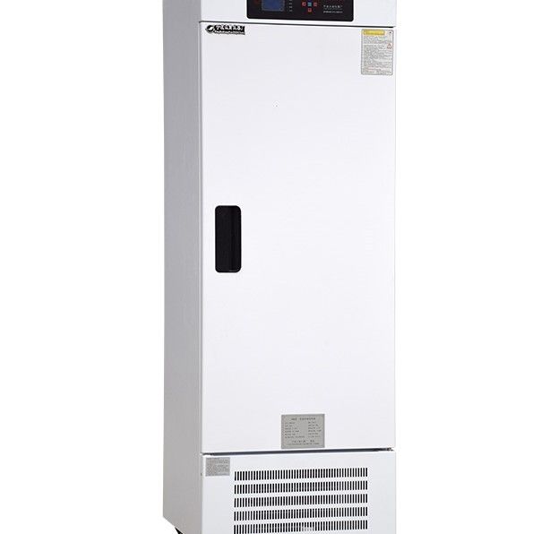 MJM-508低温霉菌培养箱图片