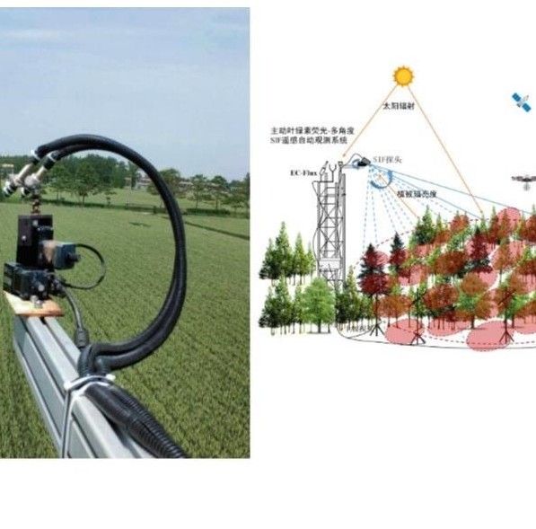 AS-SpecFluoMA多角度植被冠层叶绿素荧光遥感观测系统图片
