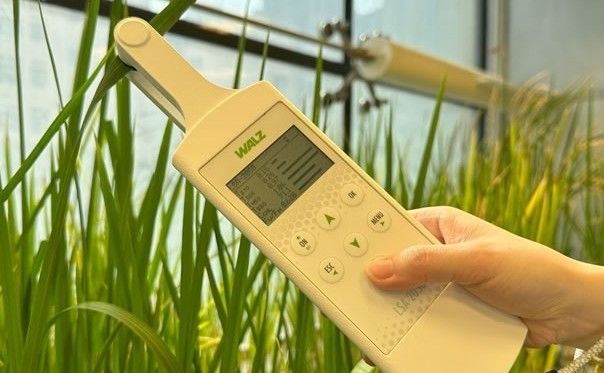 LSA-2050植物多酚叶绿素荧光仪图片