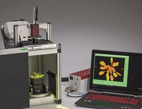 3D IMAGING-PAM 3D调制叶绿素荧光成像系统图片