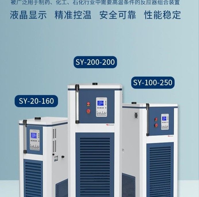 SY-100-250反应釜配套高温循环器图片