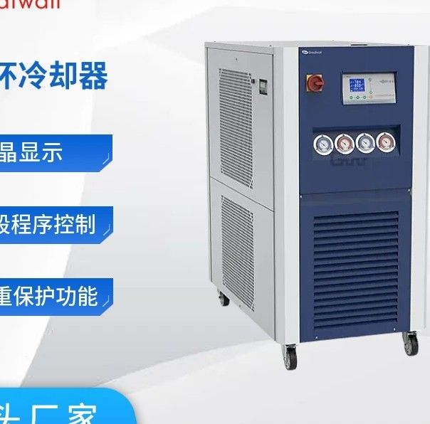 LT-100-80超低温循环冷却器图片