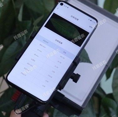 YMJ-D活体叶面积测量仪图片