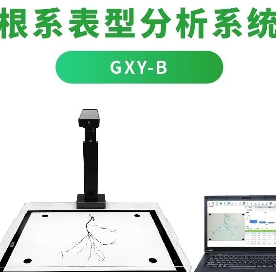 GXY-B植物根系分析系统图片