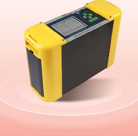 Gasboard-3200L沼气分析仪（便携型）图片