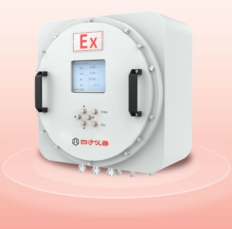 Gasboard-3500工业煤气分析仪图片