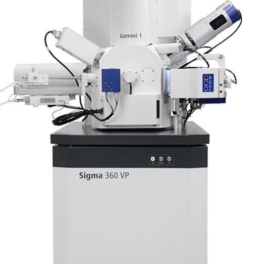 SigmaZEISS蔡司扫描电镜SEM图片