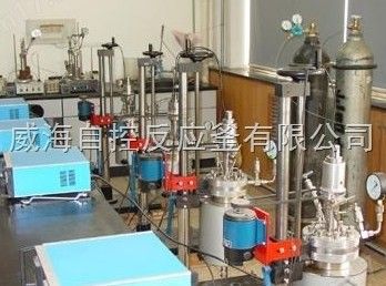 WHFSK快开升降翻转反应釜图片