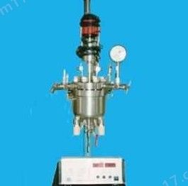 0.5L WDFS型实验室高温高压釜图片