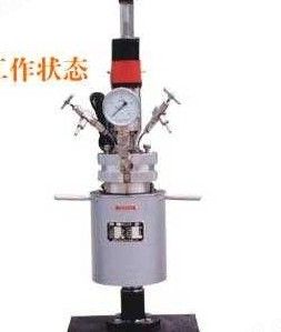 WDFSK型实验室升降反应釜图片