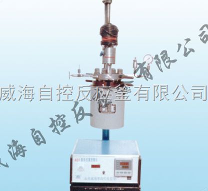 WDFS实验用高温高压反应釜图片
