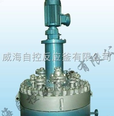 WHF 200L -1000L开式平盖式高压釜图片