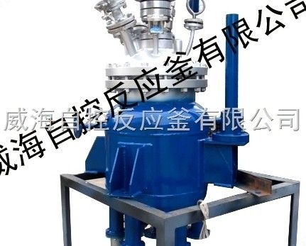 100L WHF中试反应釜图片