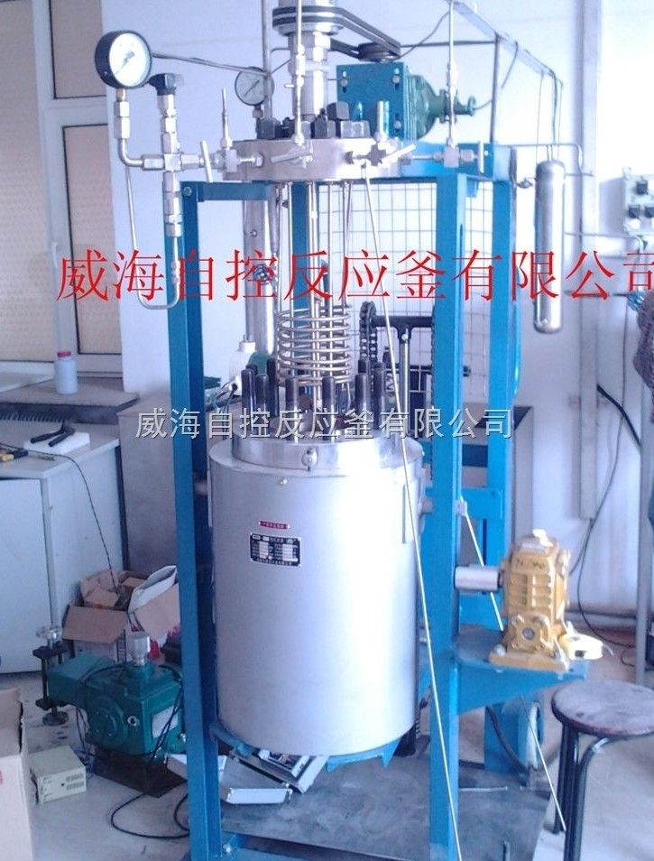 10L WHFS实验室用高压反应釜图片
