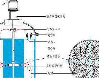 5L WHF催化加氢釜图片
