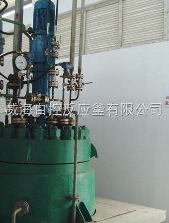 500L WHF加氢高压反应釜图片