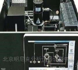 VICI MTGA6002在线PDHID色谱仪图片