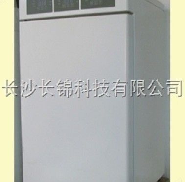 CP-QT100AO2三气培养箱图片