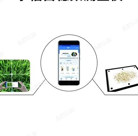 TPDS-1/TPDS-2水稻亩穗数测量仪图片