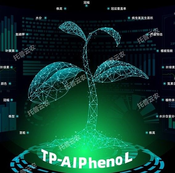 TP-AI Pheno L植物表型分析软件（客户端软件）图片