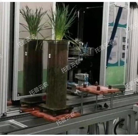 TPN-GXY-GT高通量植物根系表型采集分析系统（根筒式）图片