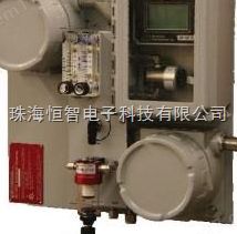 GPR-7500 AIS/IS天然气硫化氢分析仪图片