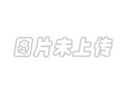 TN397506 JUMO记录笔TN397506图片